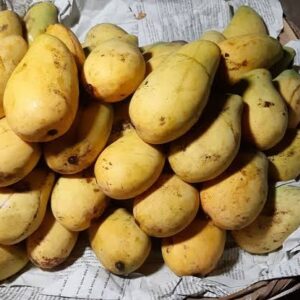 ১০ কেজি বিখ্যাত চাঁপাইনবাবগঞ্জের কাটিমন আম
