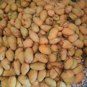 images (16)